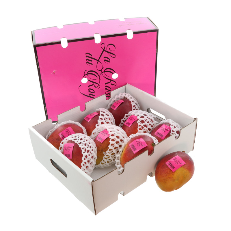 MANGUE MANZANO AVION 9PCS